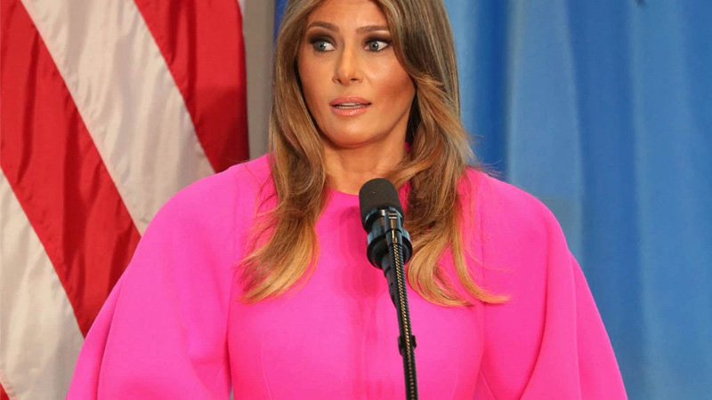 Melania Trump's U.N. Speech Dress Meme Template