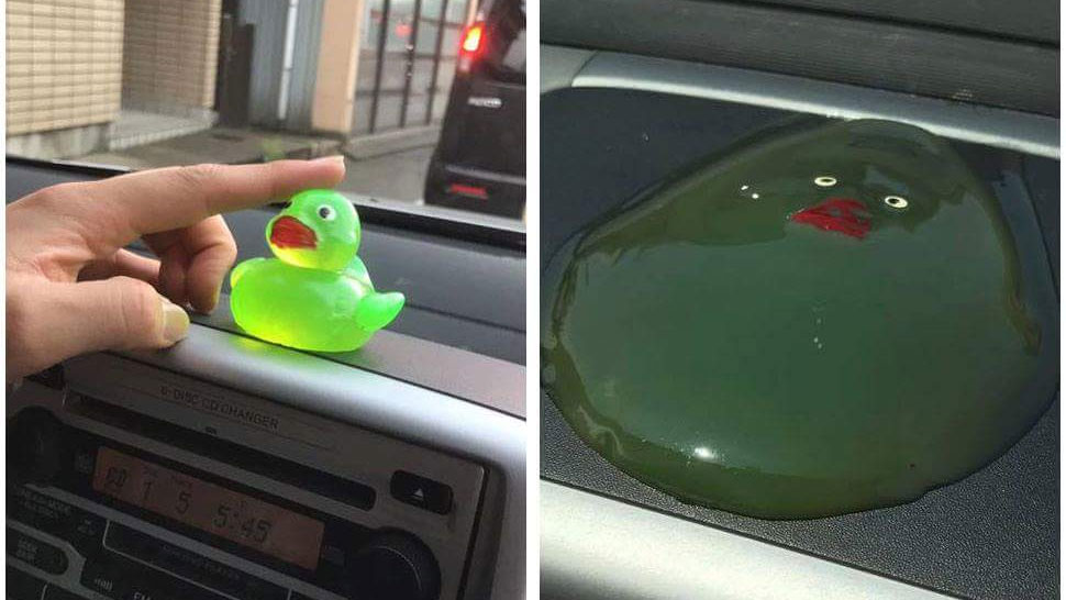 Melted Duck on a Dashboard