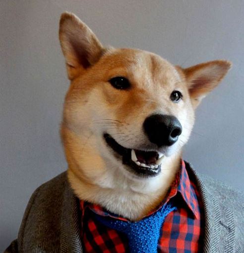 Menswear Dog Meme Template