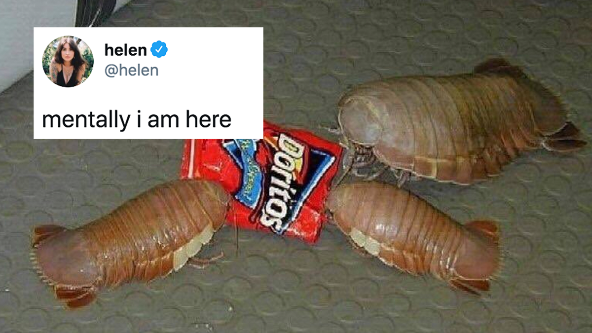 Mentally I'm Here Meme Template