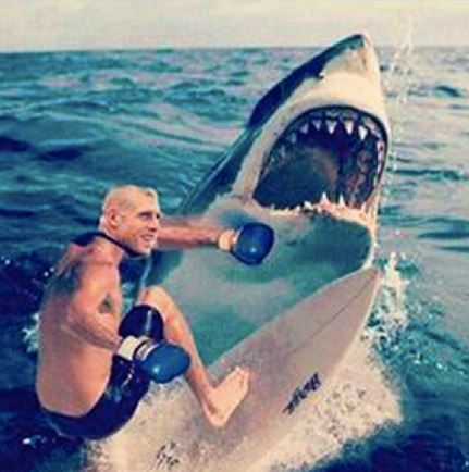 Mick Fanning Shark Attack