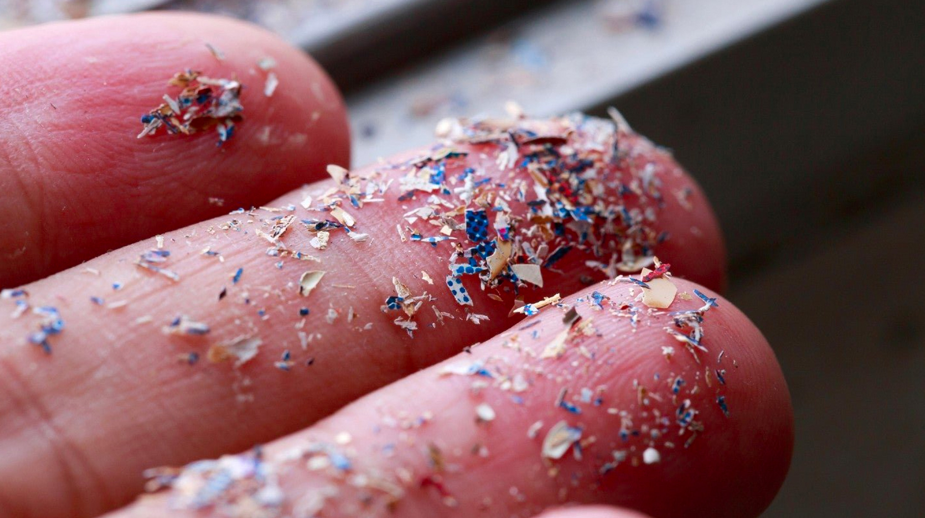 Microplastics Meme Template