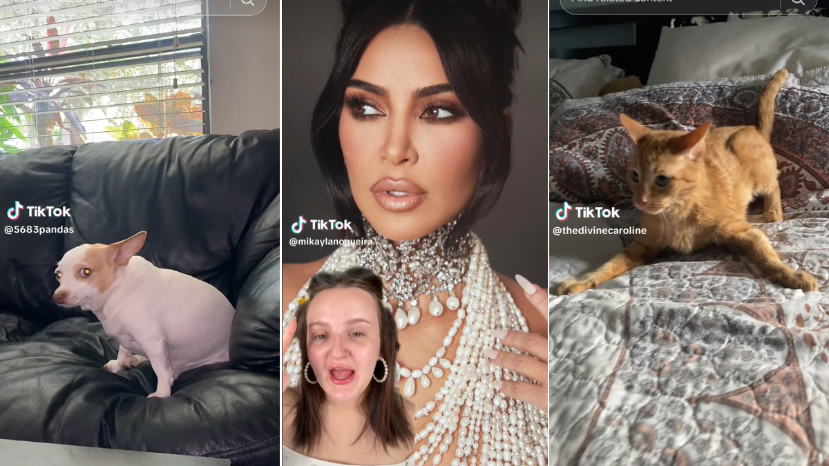 Mikayla Nogueira Saying 'Kim Kardashian' Meme Template