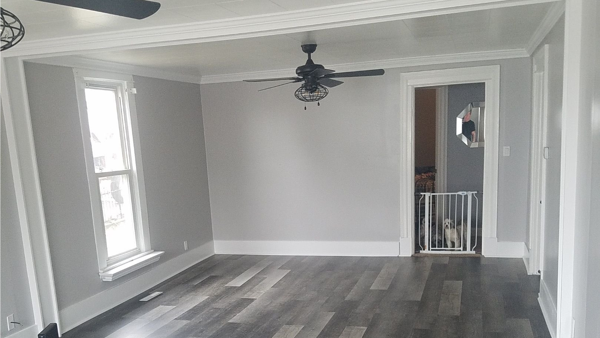 Millennial Gray / Corporate Gray