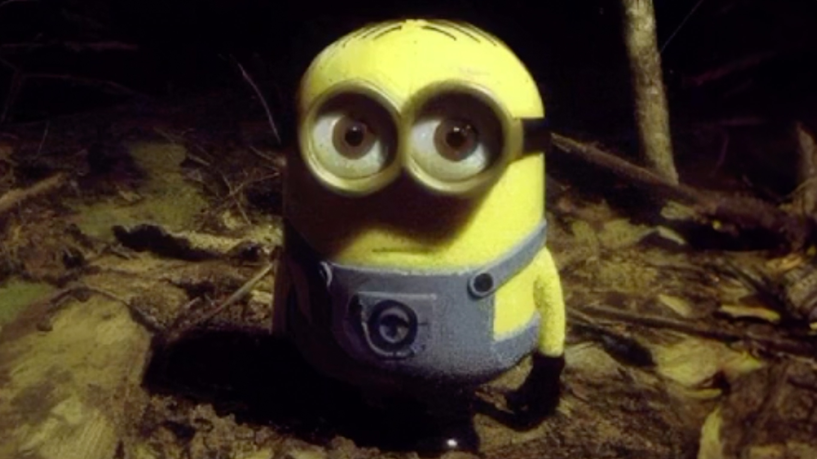 Minion Staring in the Forest Meme Template
