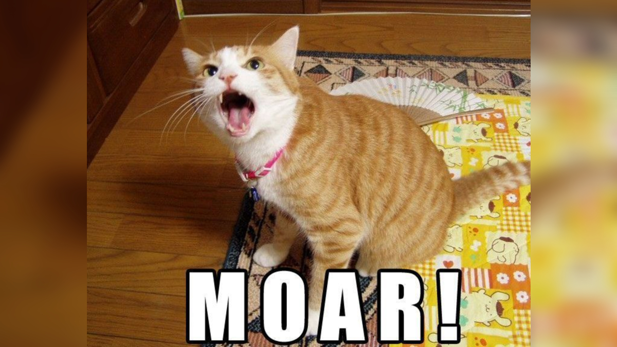MOAR Meme Template
