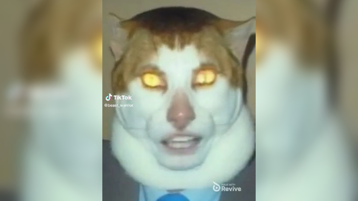 Monday Left Me Broken Cat / Mr. Peebles / Singing Yellow-Eyed Cat