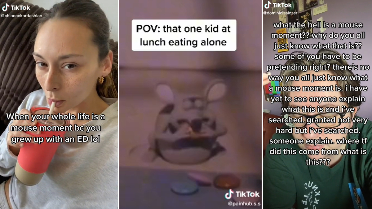 Mouse Moment / Mouse Eating Alone Meme Template