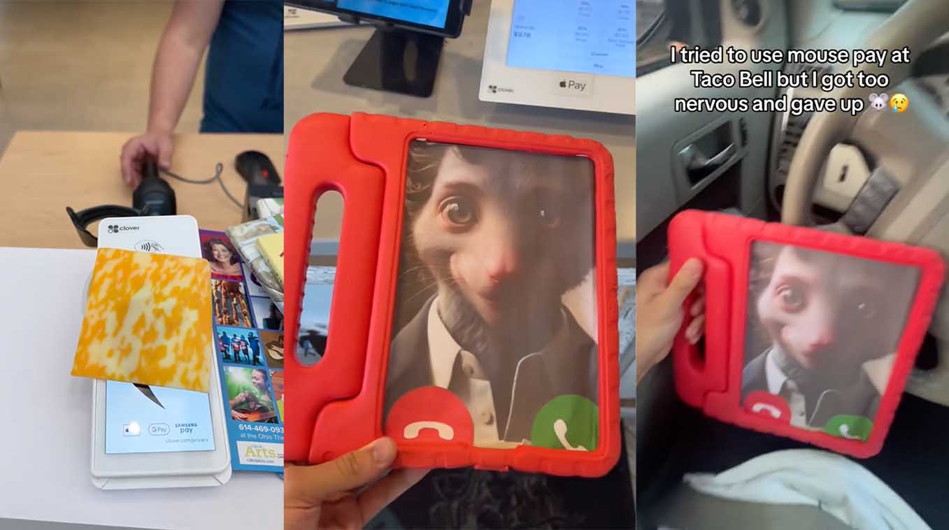 Mouse Pay / Freak Pay Meme Template