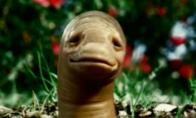 MSN Earthworm / VineMeat