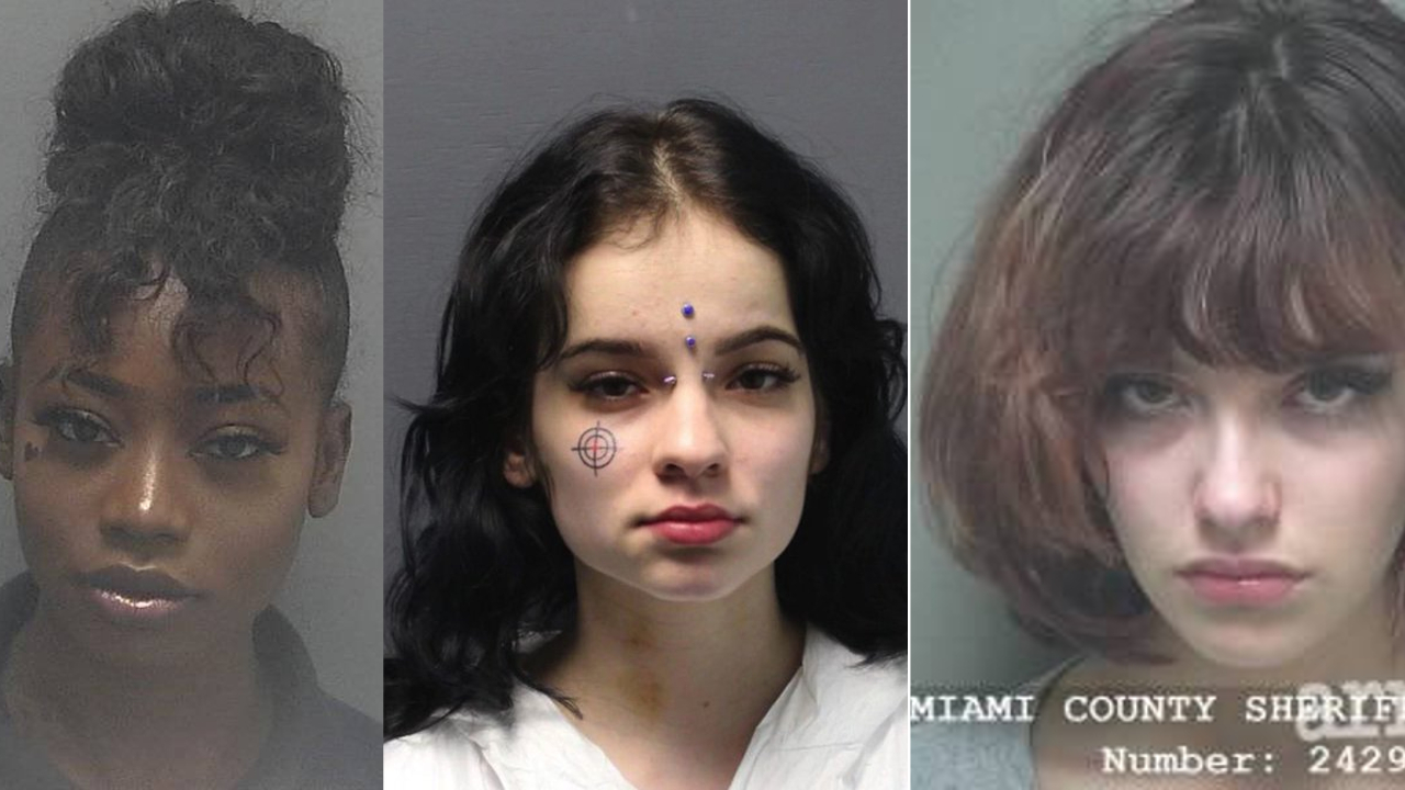 Mugshawtys Meme Template