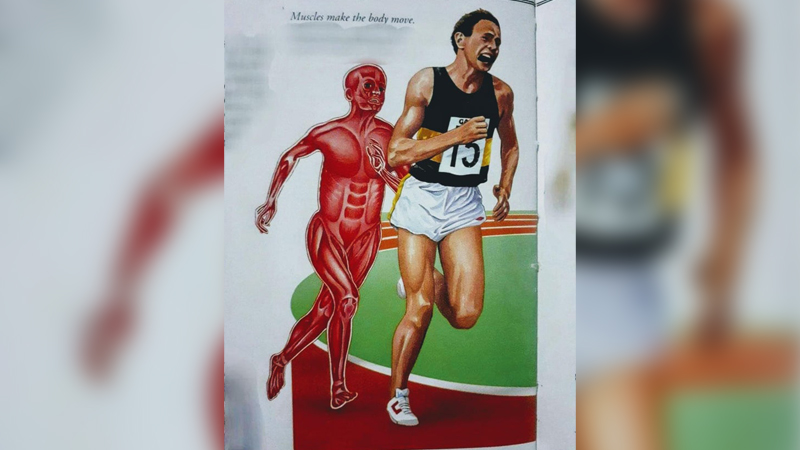 Muscle Man Chasing Runner Meme Template