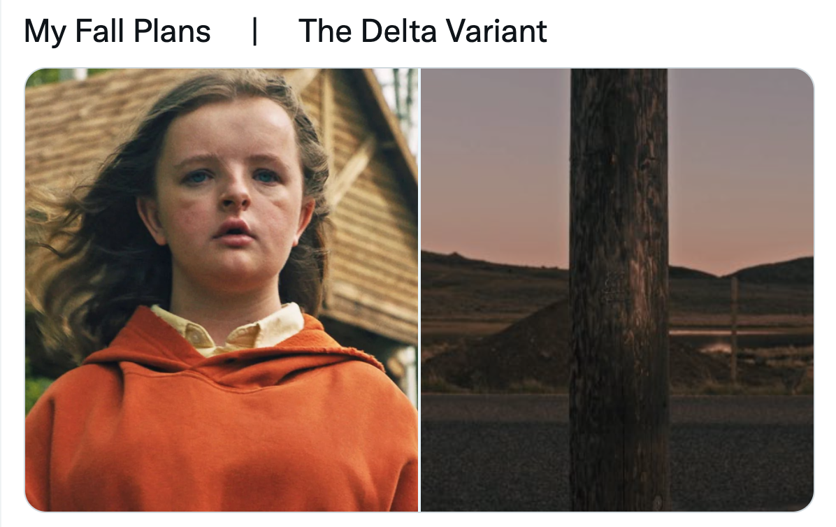My Fall Plans / Delta Variant Meme Template