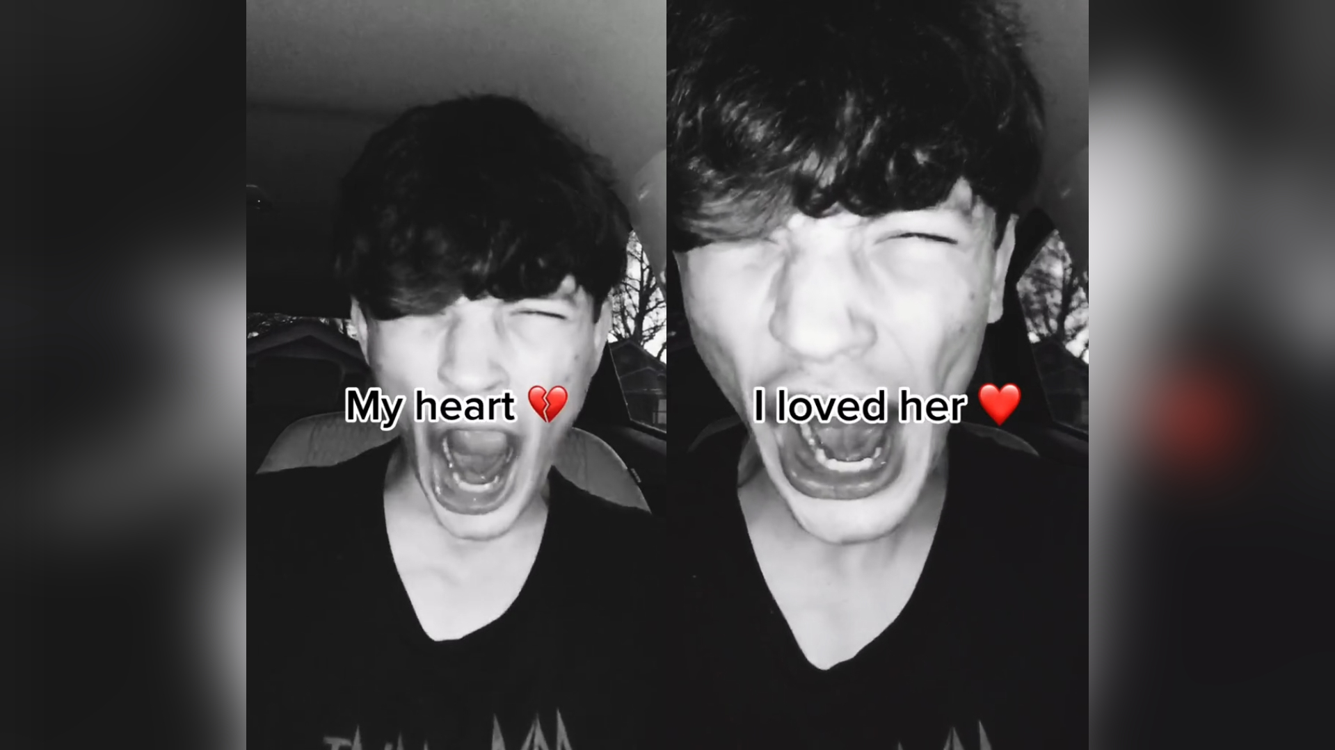 My Heart! I Loved Her! Meme Template