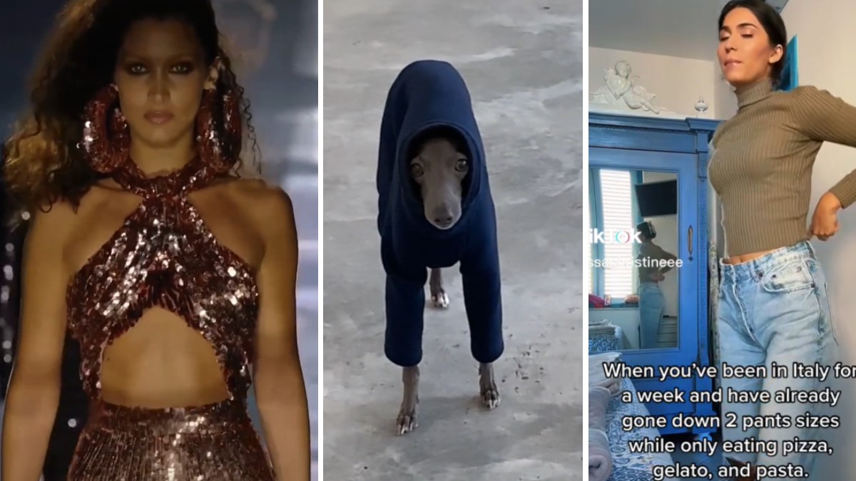 My Name Is Bella Hadid Meme Template