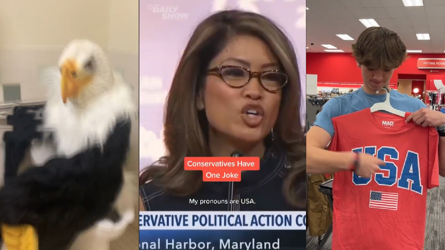 My Pronouns Are USA Meme Template