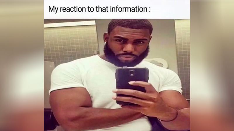 My Reaction To That Information Meme Template