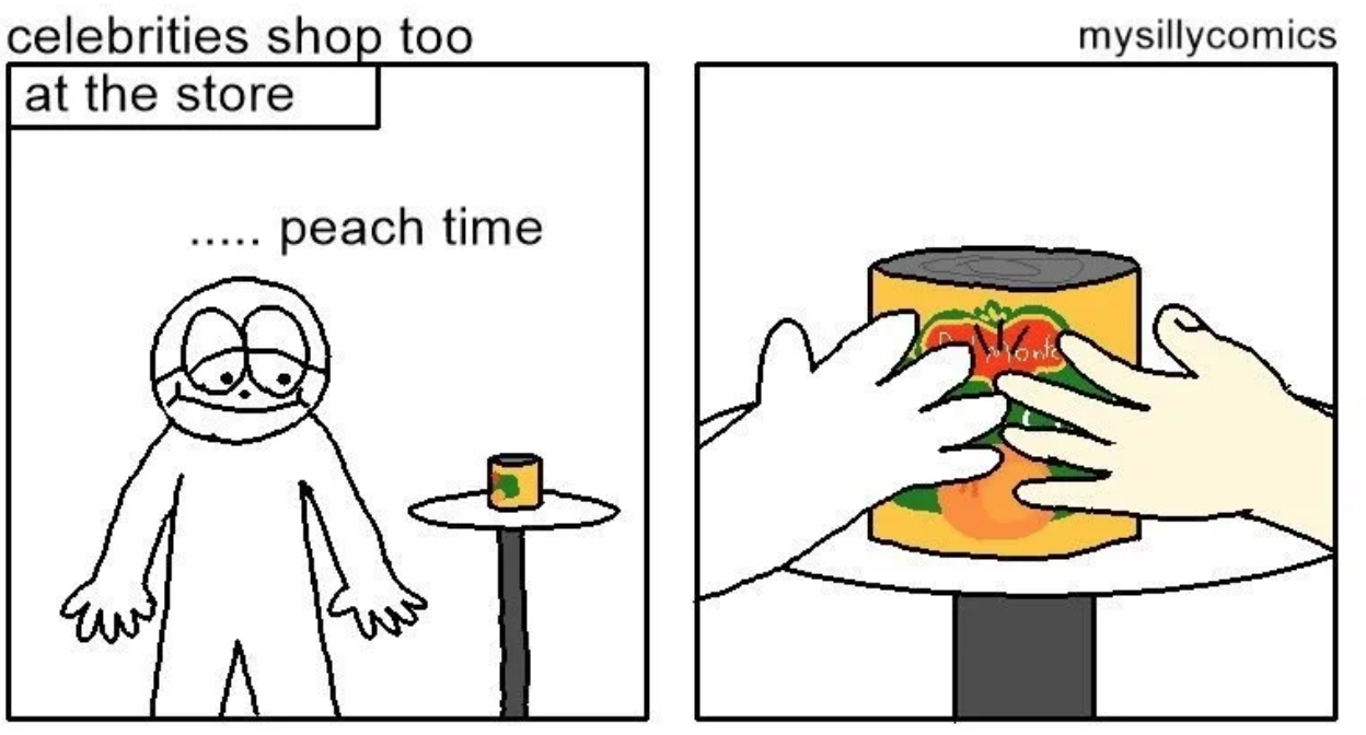 Mysillycomics Meme Template