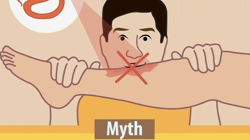 Myth You Can Suck Out the Venom from a Snake Bite