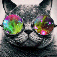 Nebula GIFs Meme Template