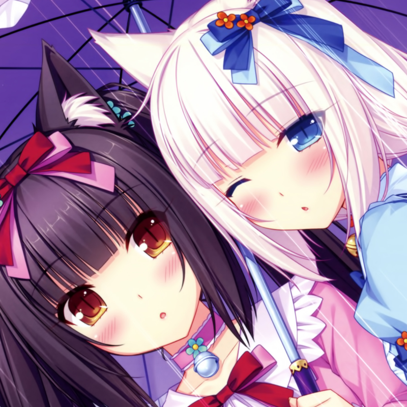 Nekopara Meme Template