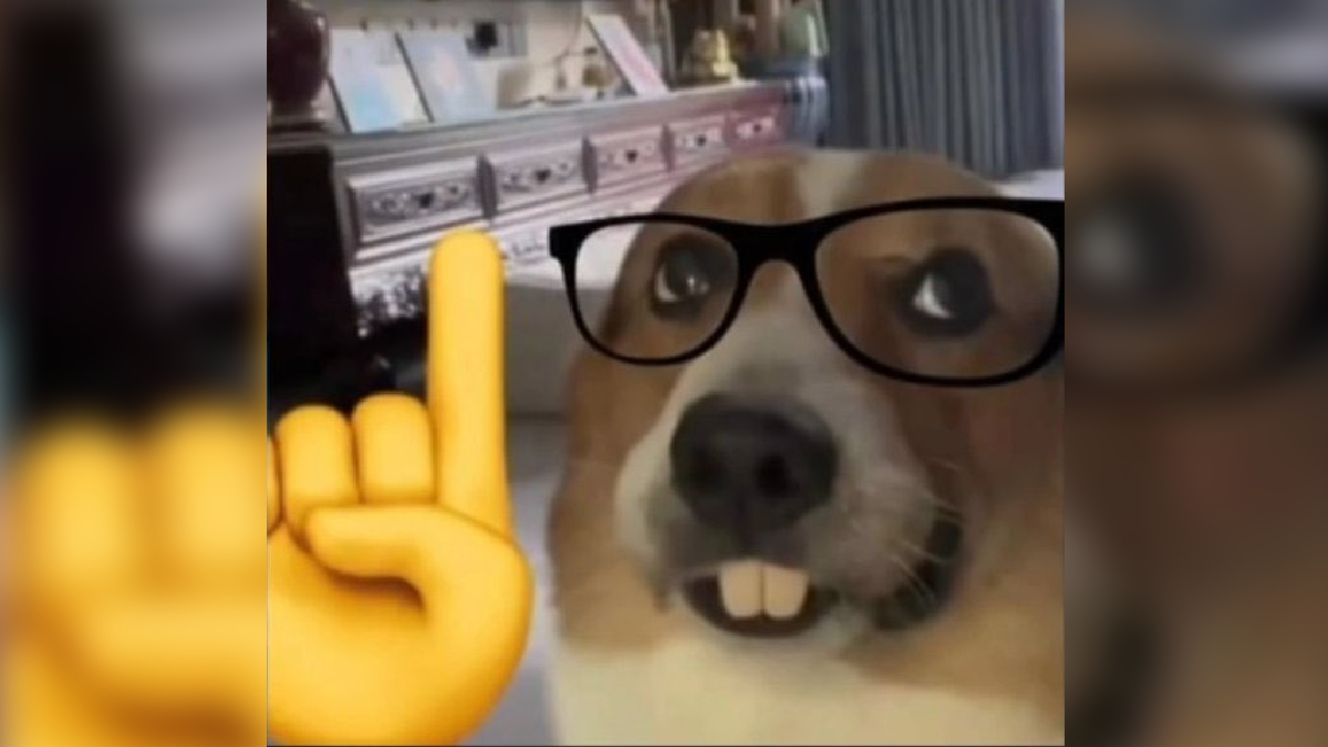 Nerd Dog Meme Template