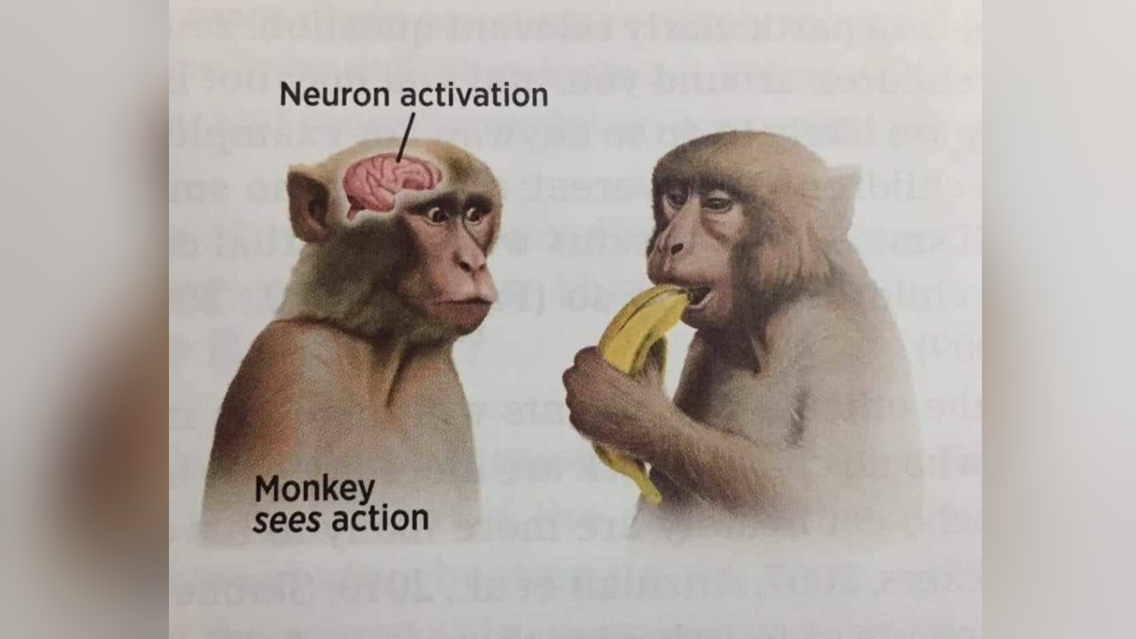 Neuron Activation Meme Template