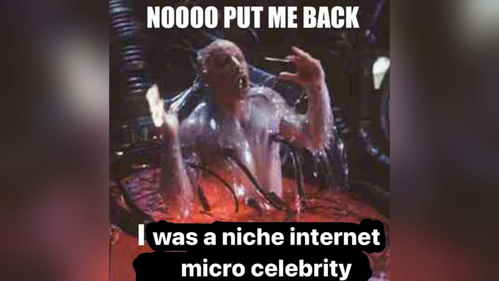 Niche Internet Micro Celebrity