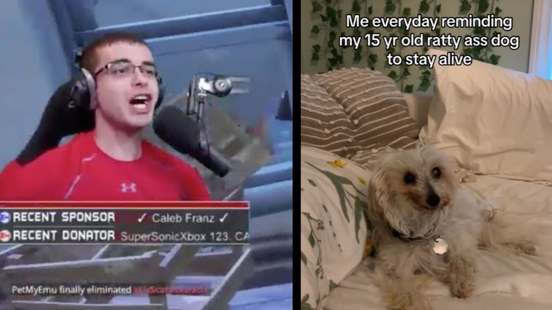 Nick Eh 30's "Never Back Down Never What? Never Give Up" Meme Template