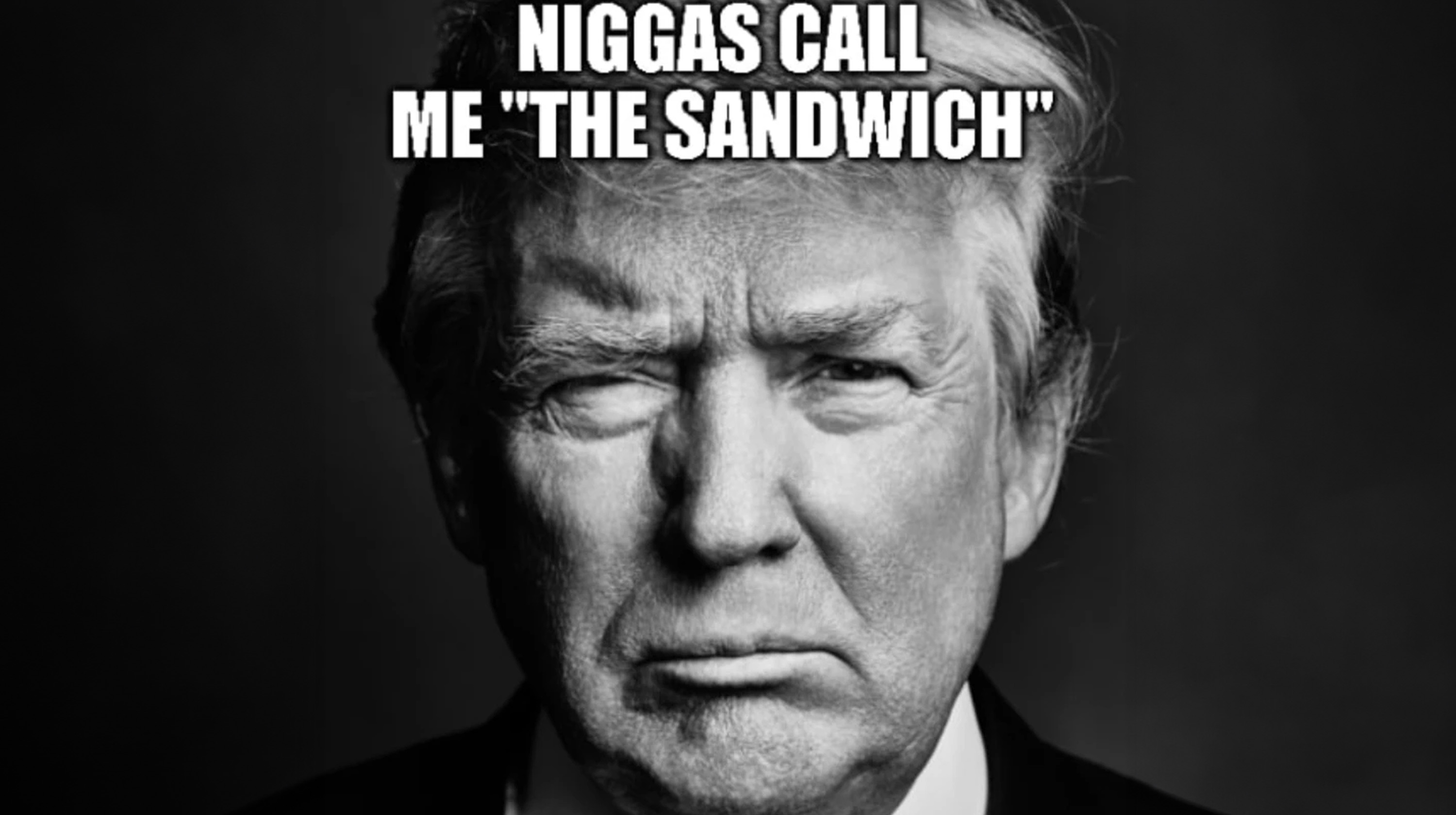 Niggas Call Me "The Sandwich" Meme Template