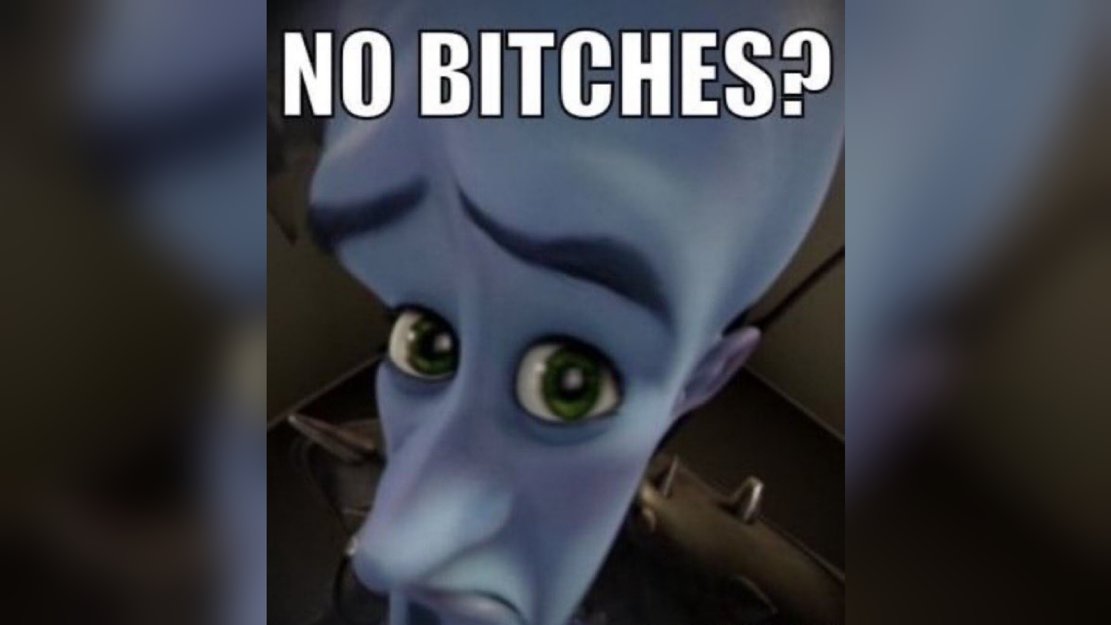 No Bitches? Meme Template