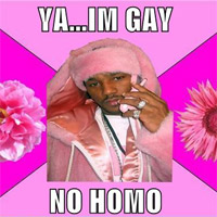 No Homo Meme Template