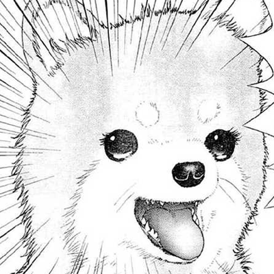 No You Don't Understand!