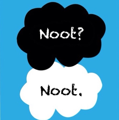 Noot Noot Meme Template