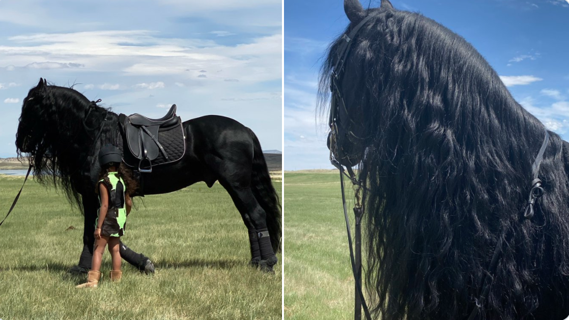 North West's Friesian Horse Meme Template