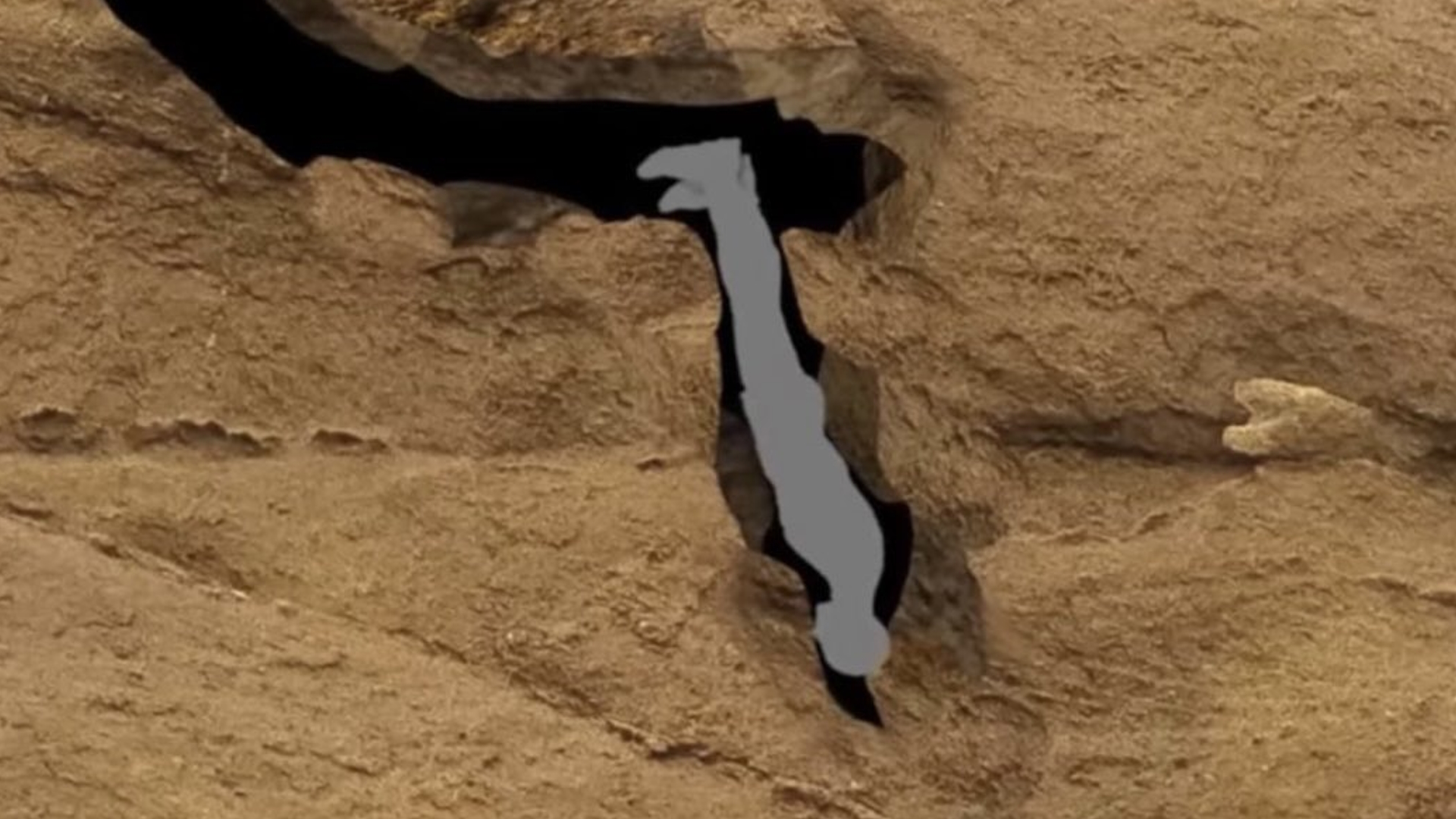 Nutty Putty Cave Incident