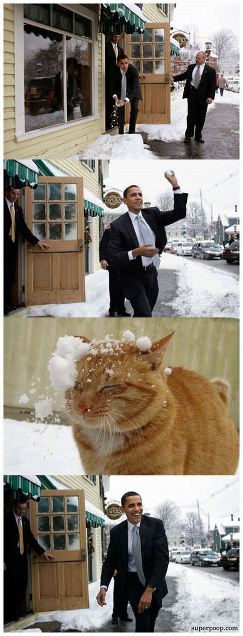 Obama Snowball
