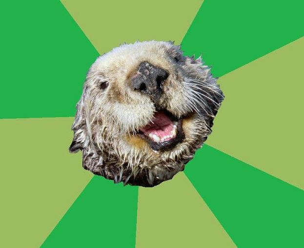 OCD Otter