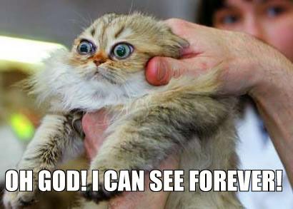 Oh God! I Can See Forever! Meme Template