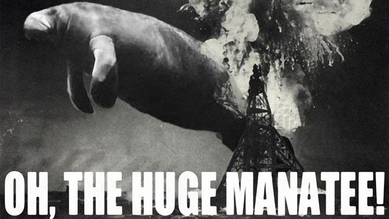 Oh, the Huge Manatee Meme Template