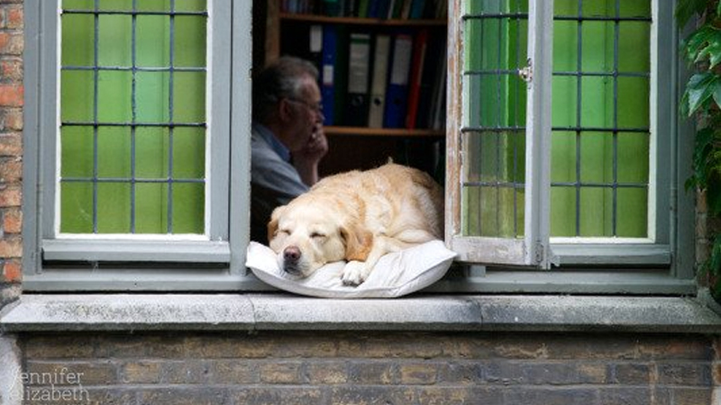 Oh To Be Meme Template