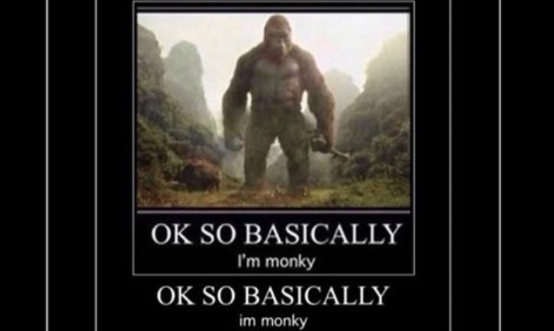OK So Basically I'm Monky