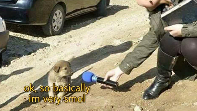 Ok, So Basically Im Very Smol Meme Template