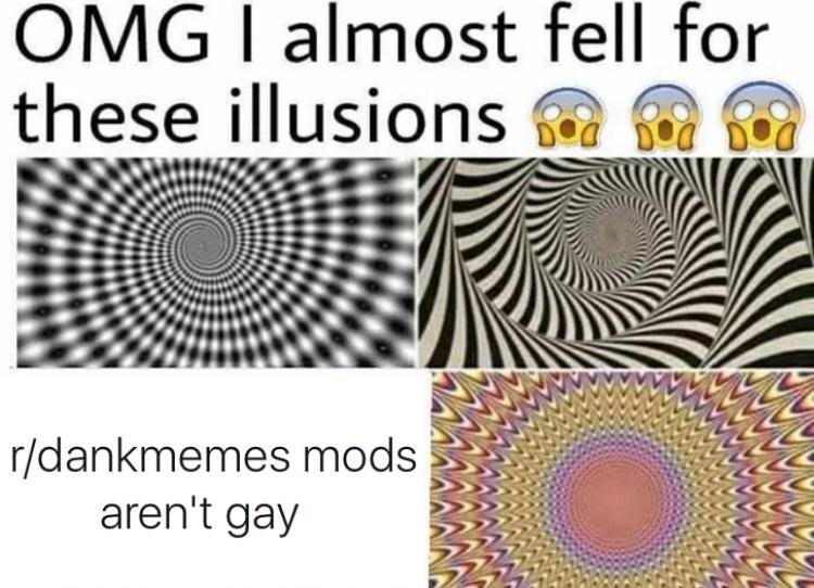 OMG I Almost Fell For These Illusions Meme Template