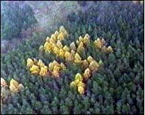 OMG Secret Nazi Meme Template