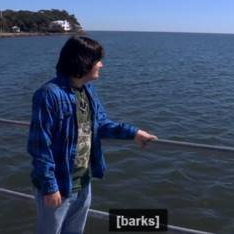 On All Levels Except Physical, I am a Wolf Meme Template