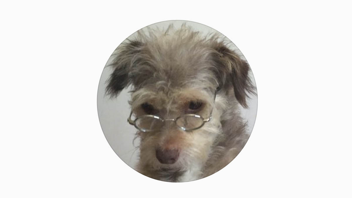 on_a_downward_spiral