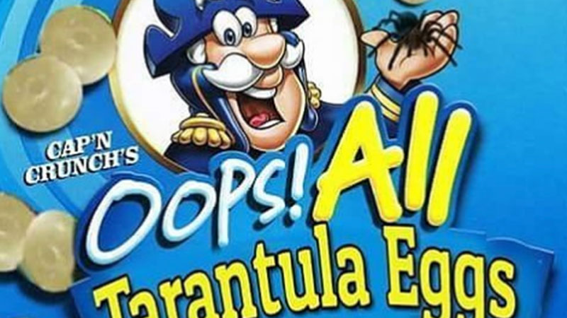 Oops! All Berries Box Parodies