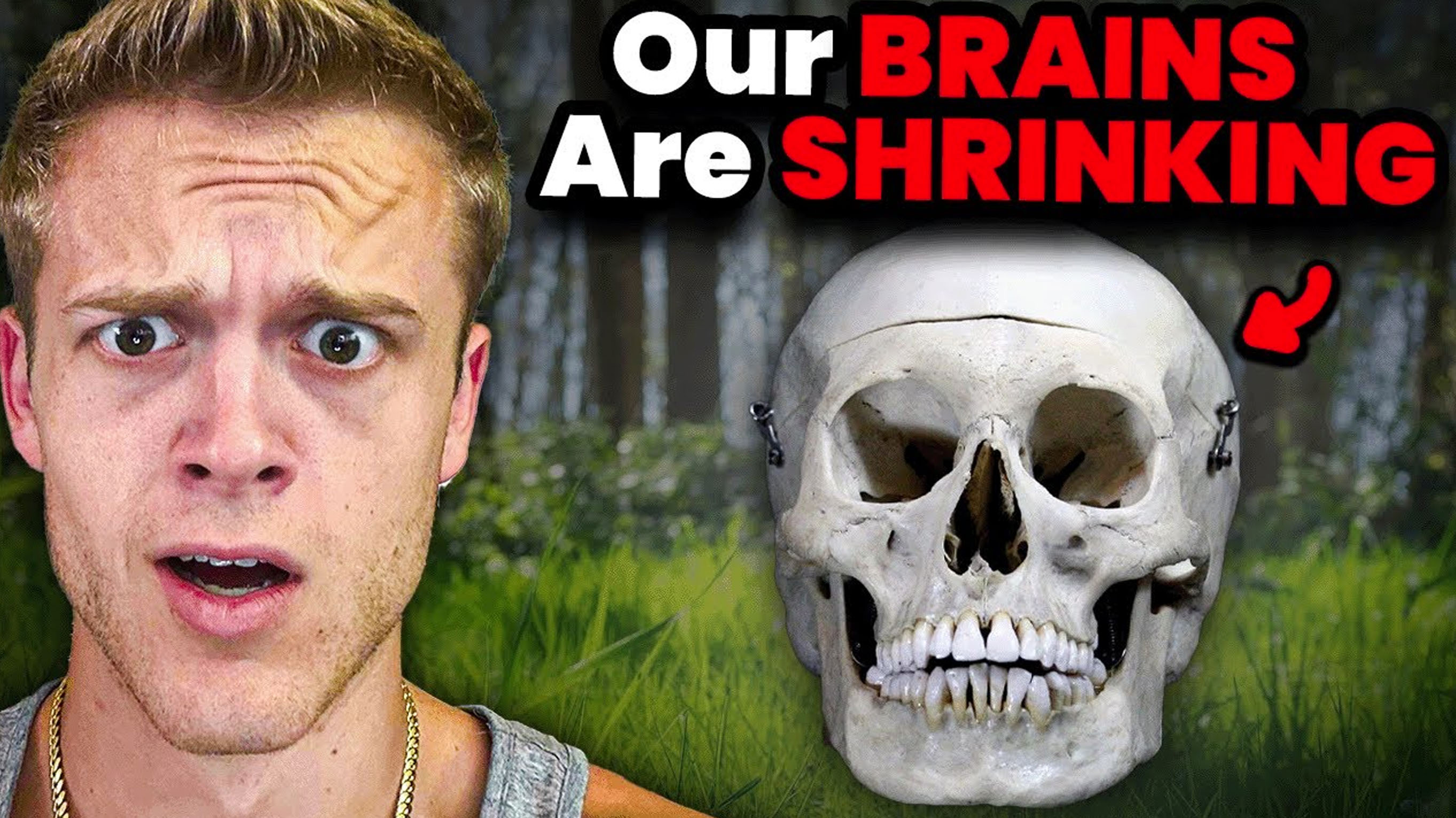 Our Brains Are Shrinking