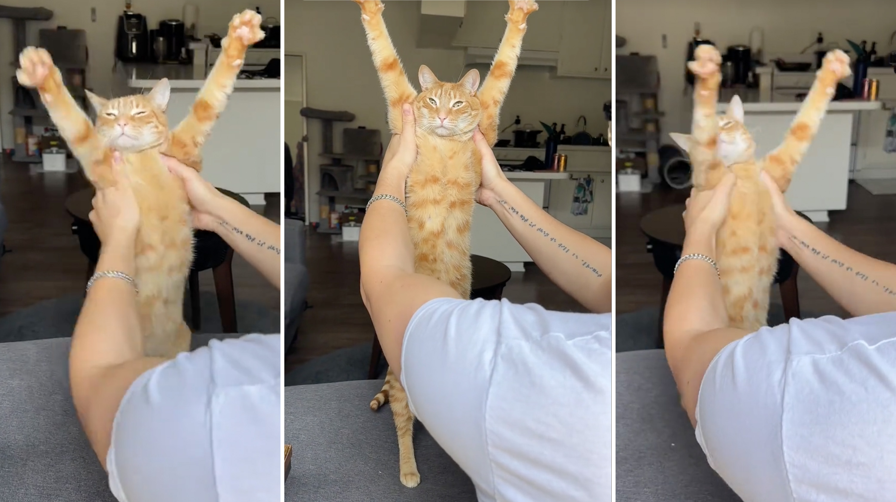 P For Papas, It's a Papas Party